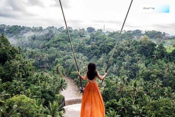 Ubud Swing